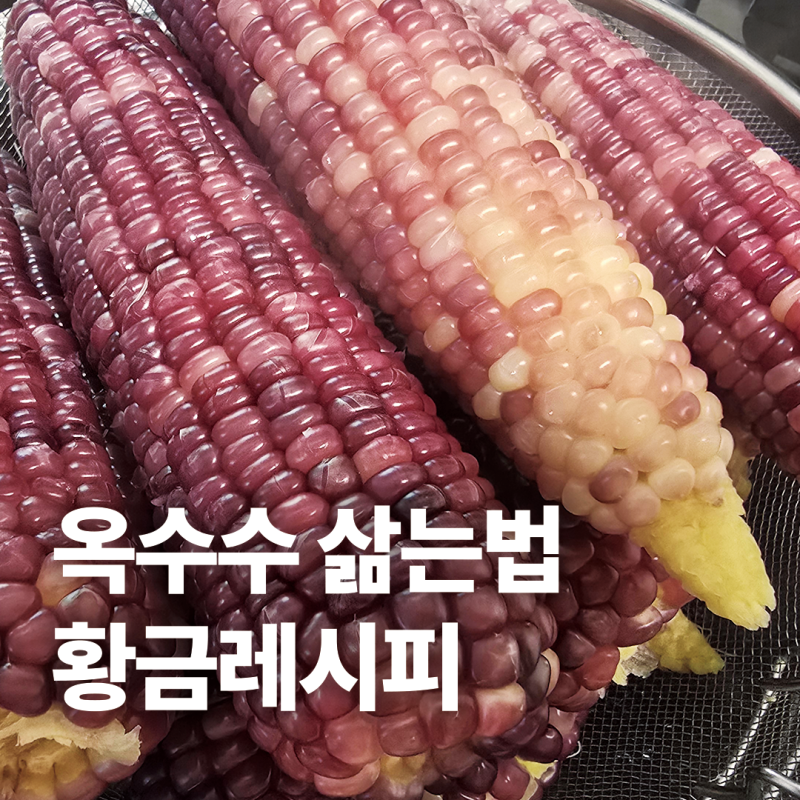 옥수수 삶는 법, 집에서 쉽게 하는 황금레시피
