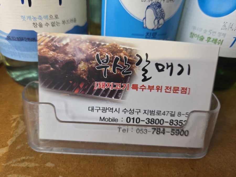 부산갈매기 사진 3