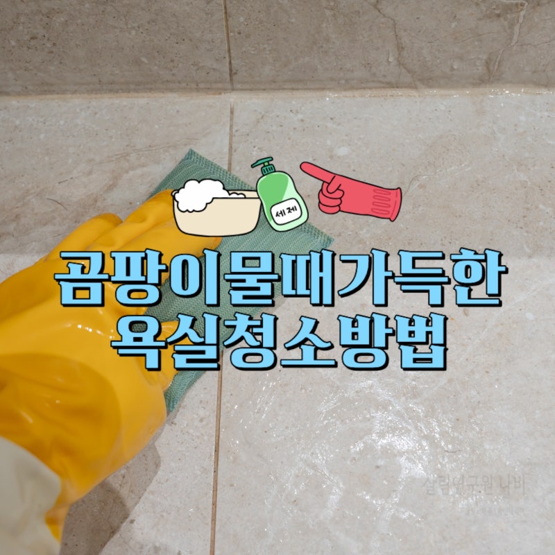 욕실 청소법 락스 활용한 화장실 곰팡이 물때 제거 방법