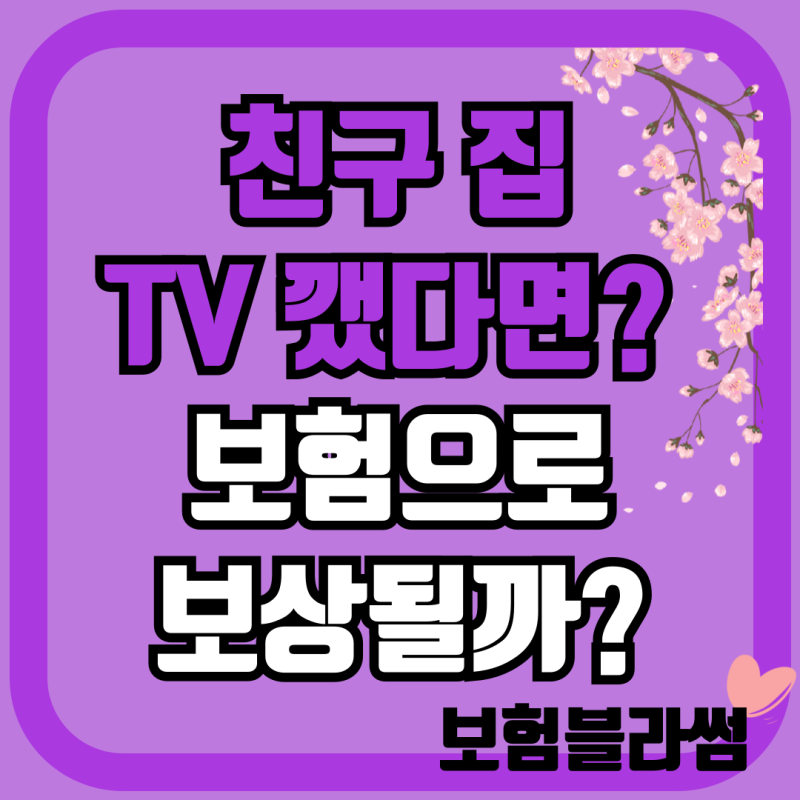 친구 집 TV를 깼다면? 일상생활배상책임보험 보상 조건 총정리 (자기부담금·감가상각까지)