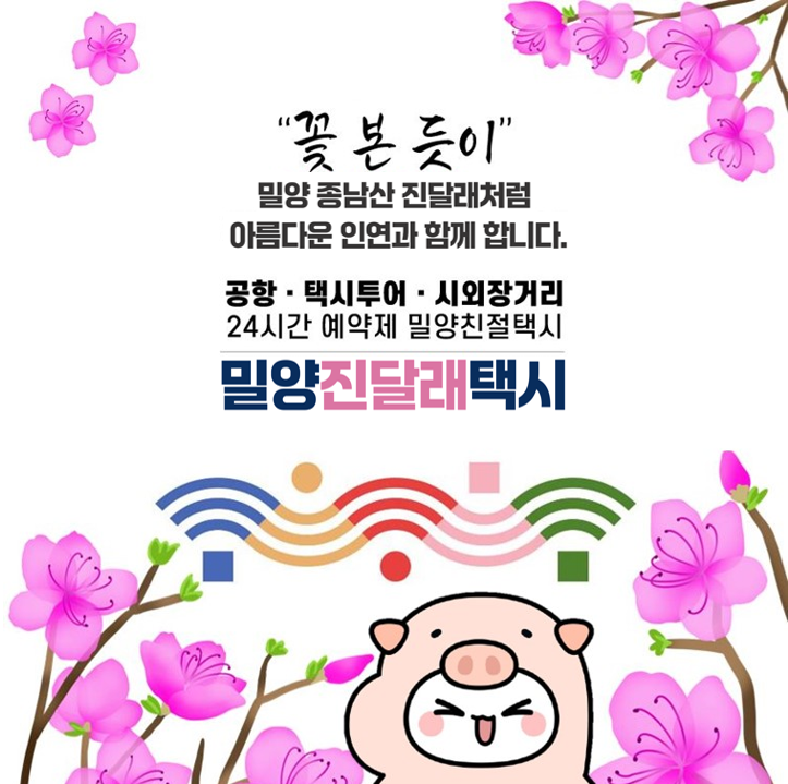 진달래 사진 2
