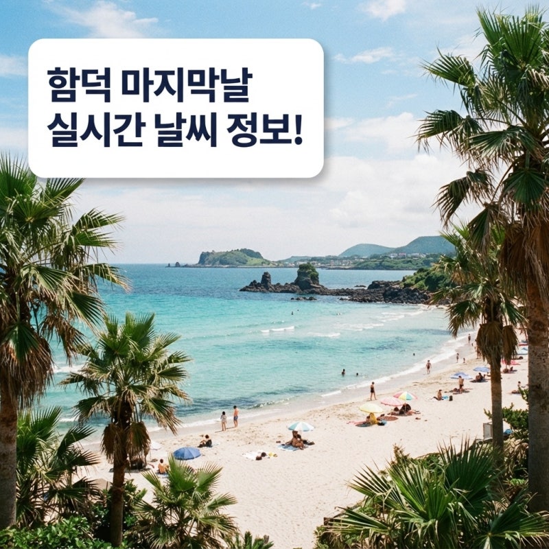 비 오나 맑나? 함덕 마지막날 실시간 날씨 정보 궁금하다면