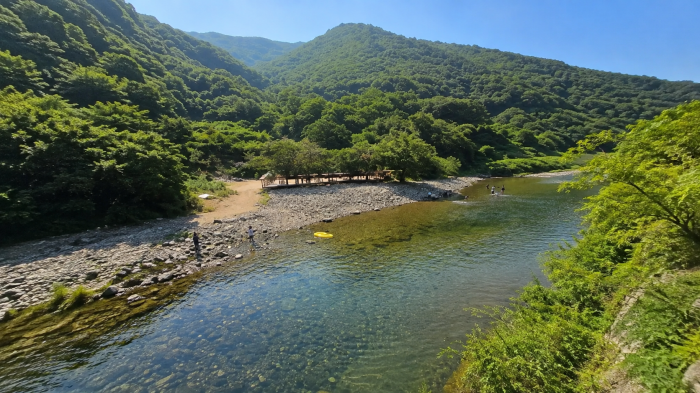 배내골산돼지마을 사진 1