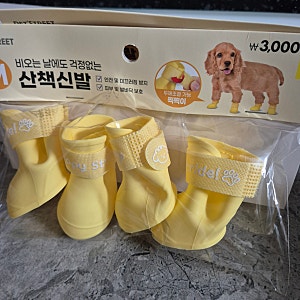 다이소 강아지 신발 내돈내산 솔직후기