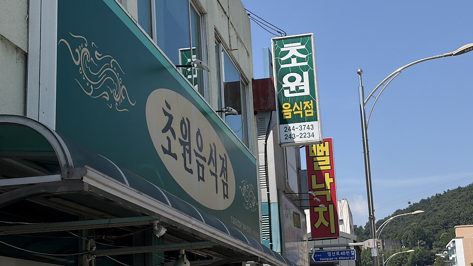 초원음식점 사진 3
