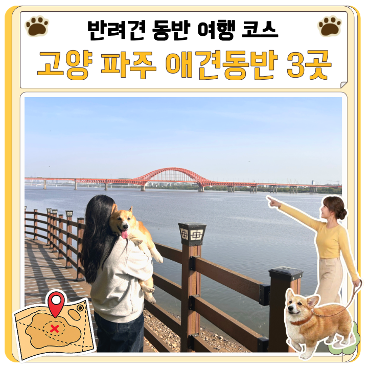 파주 프로방스 포함 고양 파주 애견동반 당일치기 코스 3곳