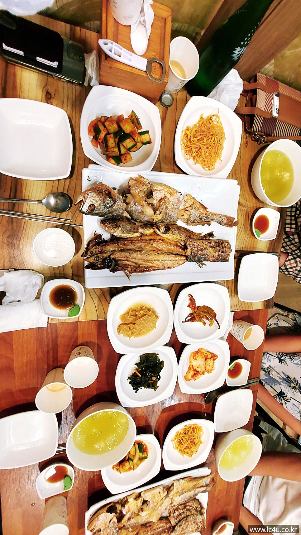 송옥정 사진 4