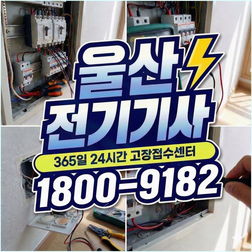 비 사진 1