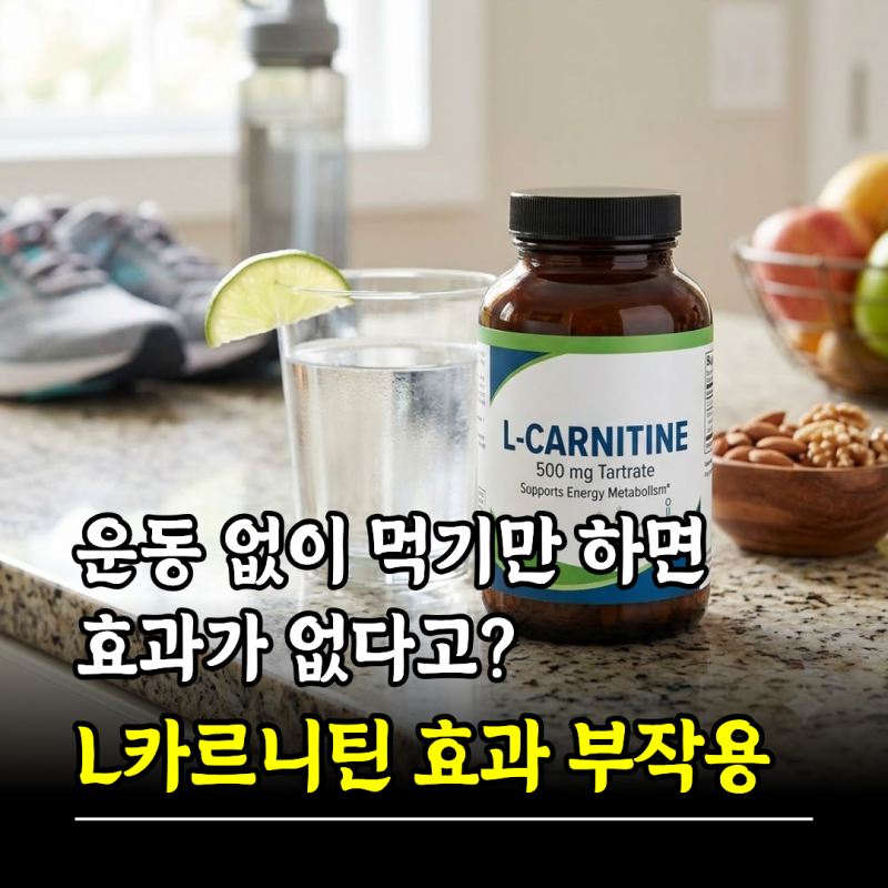 운동 없이 먹기만 하면 효과가 없다고? L카르니틴 효능 엘카르니틴 효과