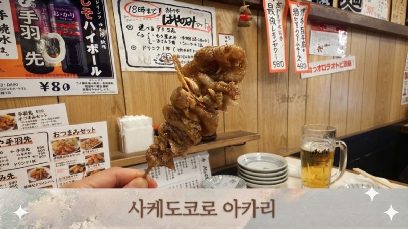 [후쿠오카 맛집] 후쿠오카 하카타 로컬 맛집, 마츠다 부장 추천 '사케도코로 아카리' 솔직 후....
