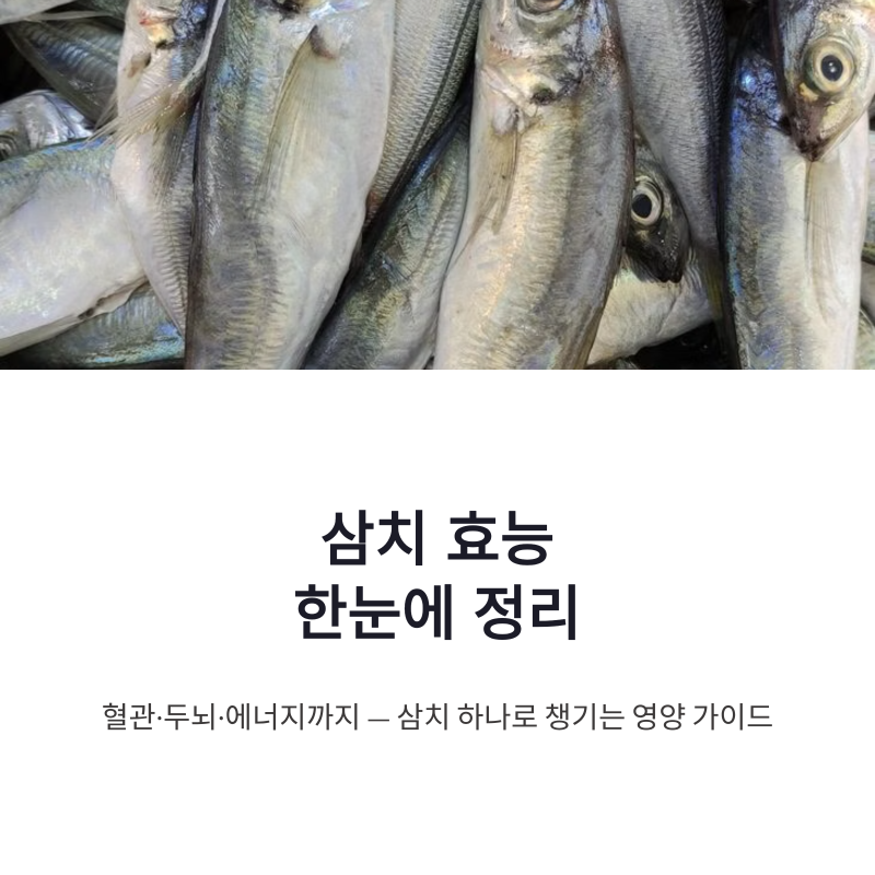 삼치효능 제철 영양부터 섭취 주의사항까지 한눈에 정리