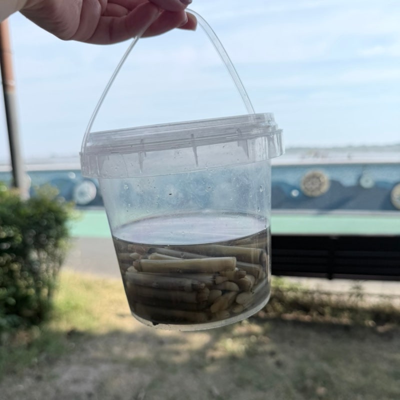 부산 소담공원 아기랑 가기 좋은 헤루질 명소, 맛조개 잡기부터 주차까지 완벽!