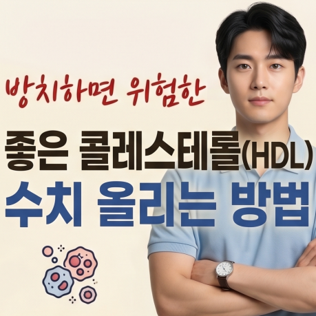 좋은 콜레스테롤 HDL 수치 올리는 방법! 수치 기준부터 높이는 음식