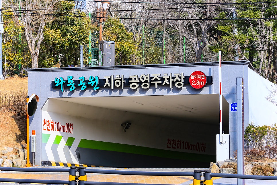국가대표 사진 1