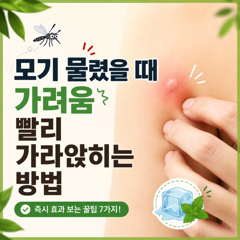 모기 물렸을 때 가려움 빨리 가라앉히는 방법