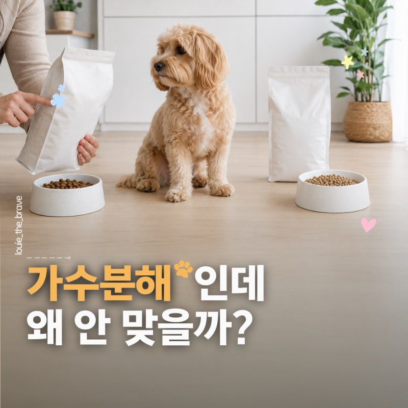 강아지 알러지 사료, 가수분해란 무엇이고 언제 먹일까?