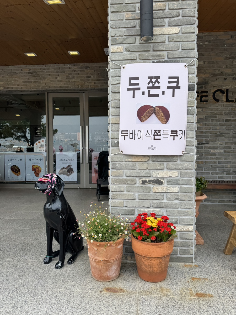 노봉해변 사진 6
