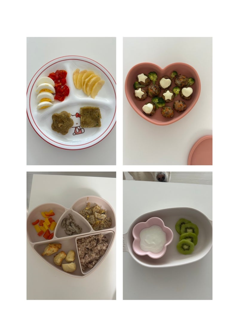 유아식 기록 | [유아식 식단 공유] 13개월 아기 식단 • 유아식 한달 식단 공유 • 유아식 메뉴