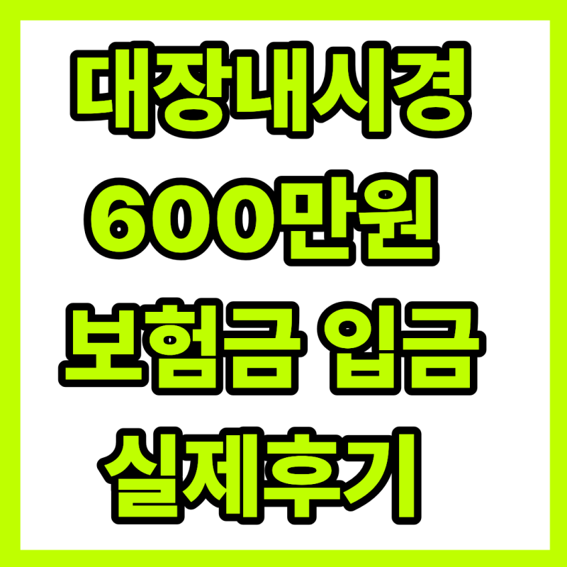 [K635] 대장내시경 용종제거 보험금 600만원 수령 실제후기 (질병수술비·종수술비 숨은 돈 찾....