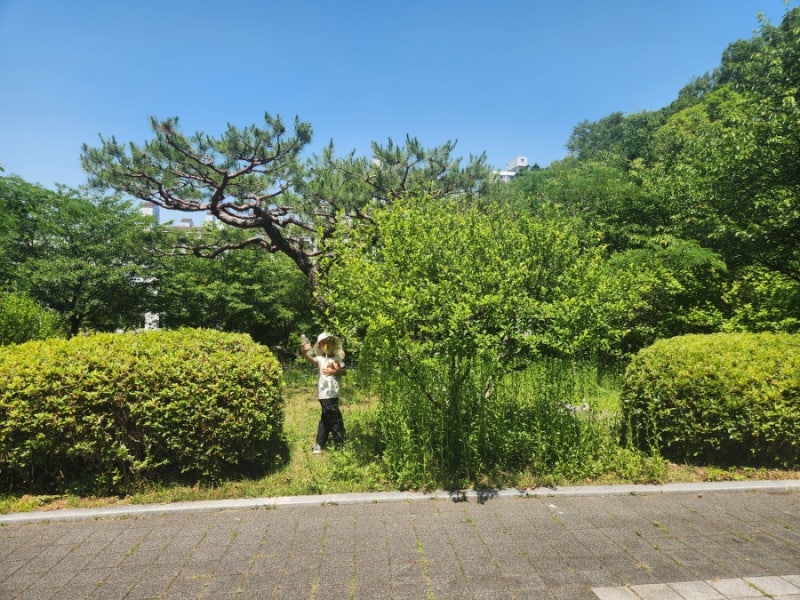 판교 맹산환경생태학습원 숲체험 당첨 후기
