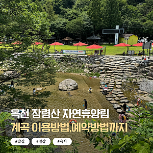 옥천 계곡 장령산 자연휴양림 예약방법,대전근교 취사가능한 계곡 평상 당일치기(ft. 아기랑 ....