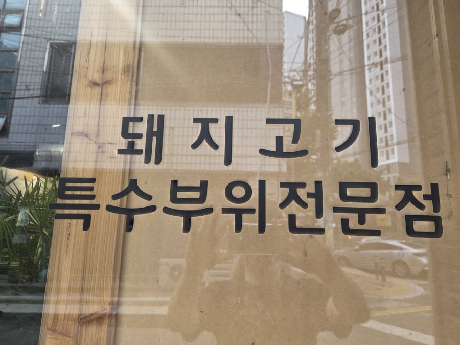 부산갈매기 사진 5