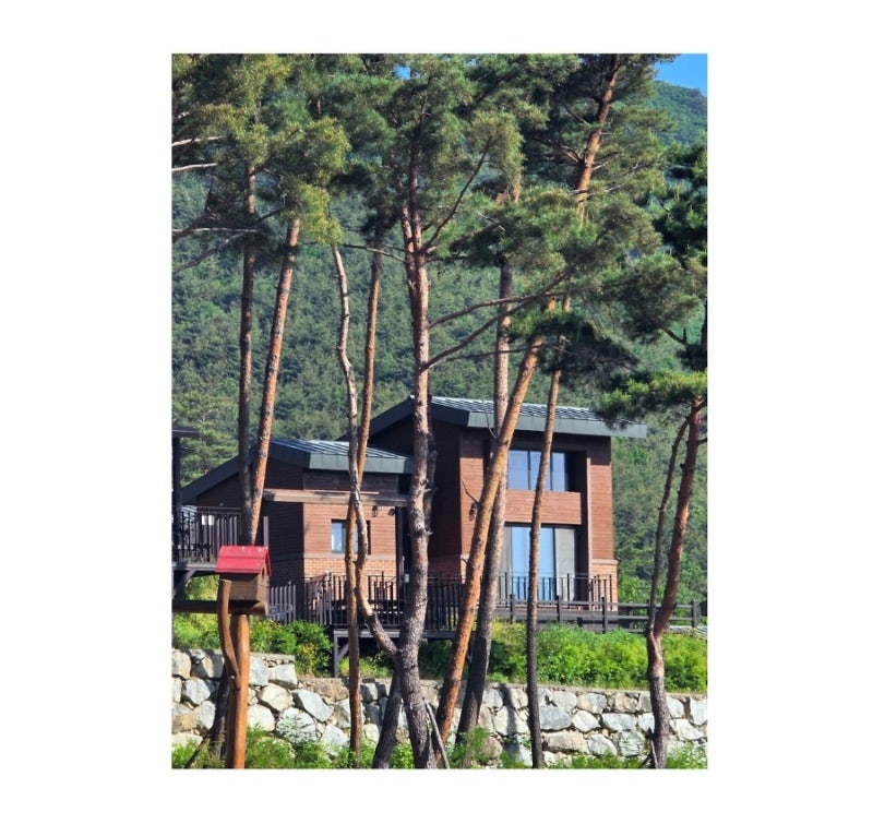 청도 자연휴양림 숲속 집 사과 1호. 숲이 좋아