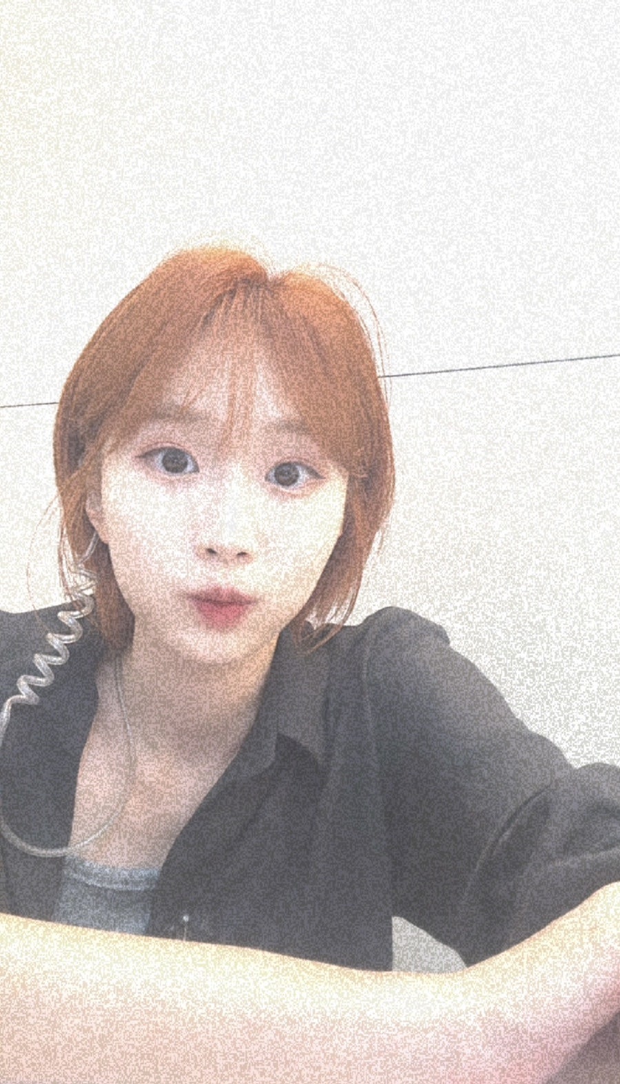 오렌지 사진 4