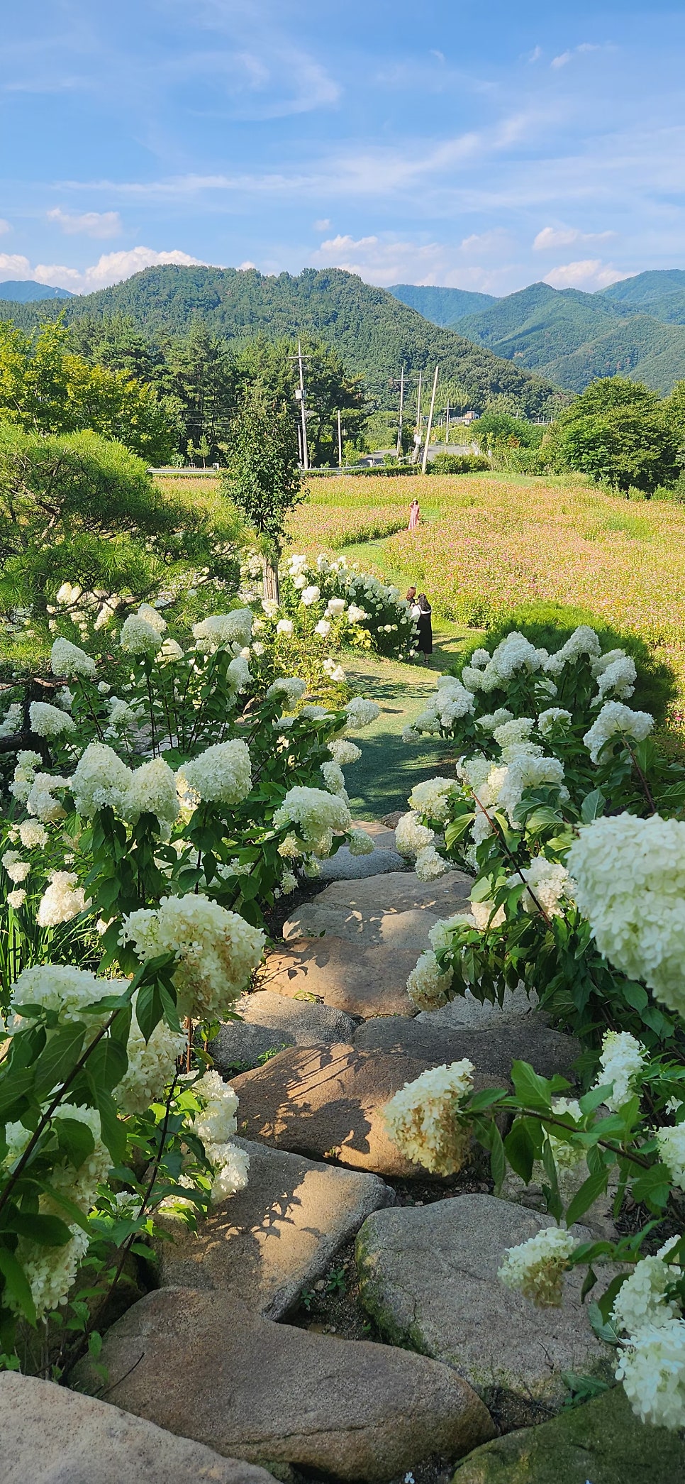 로카커피 사진 2