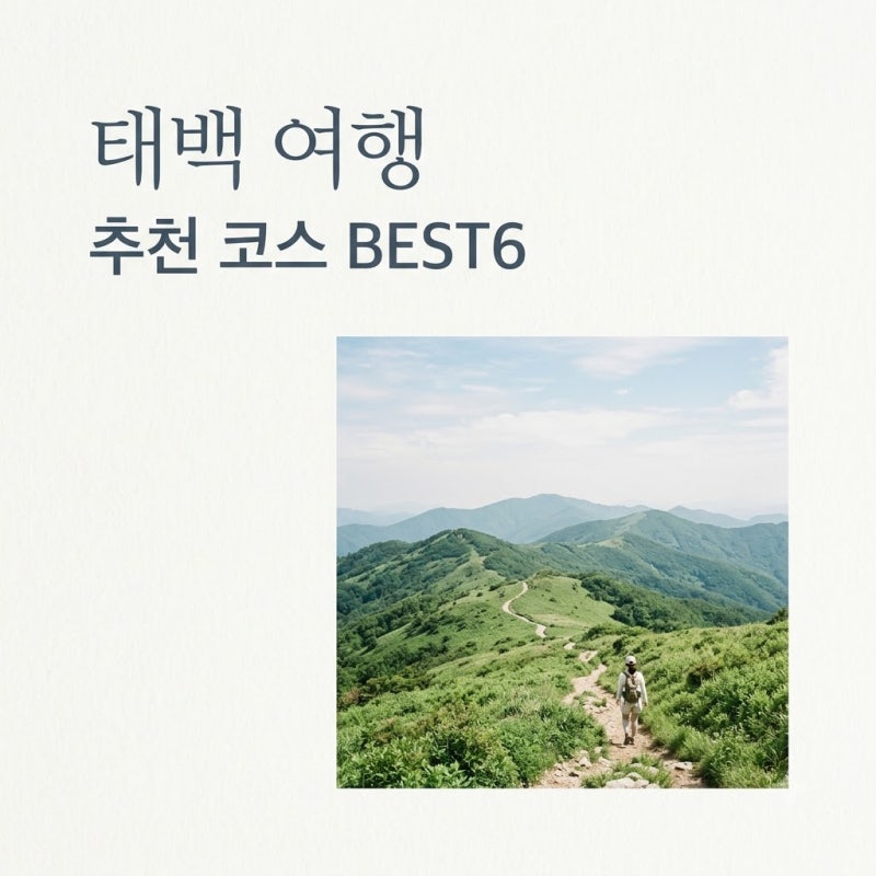 태백 가볼만한곳 추천 코스 BEST 6과 여름 야시장 꿀팁 정리