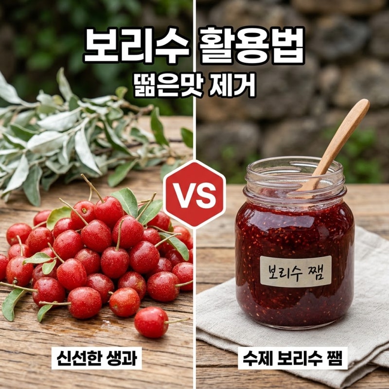 보리수효능 기관지 건강과 떫은맛 제거하는 꿀팁 정리