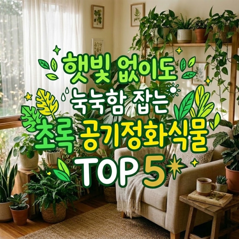 여름철 집안 공기를 쾌적하게! 음지에서도 잘 자라는 공기정화식물 TOP 5