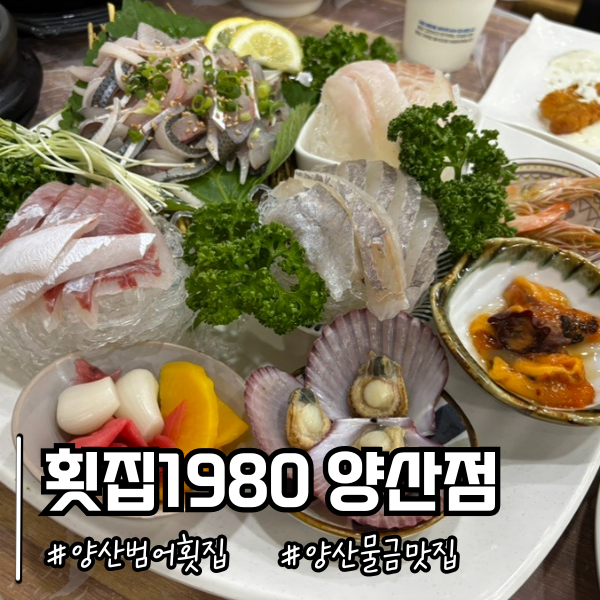 양산 물금 범어택지 맛집 전어회개시 횟집1980 양산점
