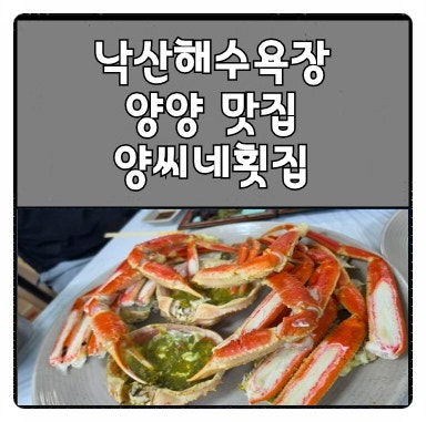 낙산해수욕장 활어회센터 맛집 '양씨네 횟집' / 대게와 회 해산물까지!