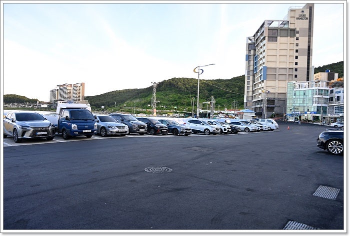 진품물회 사진 2