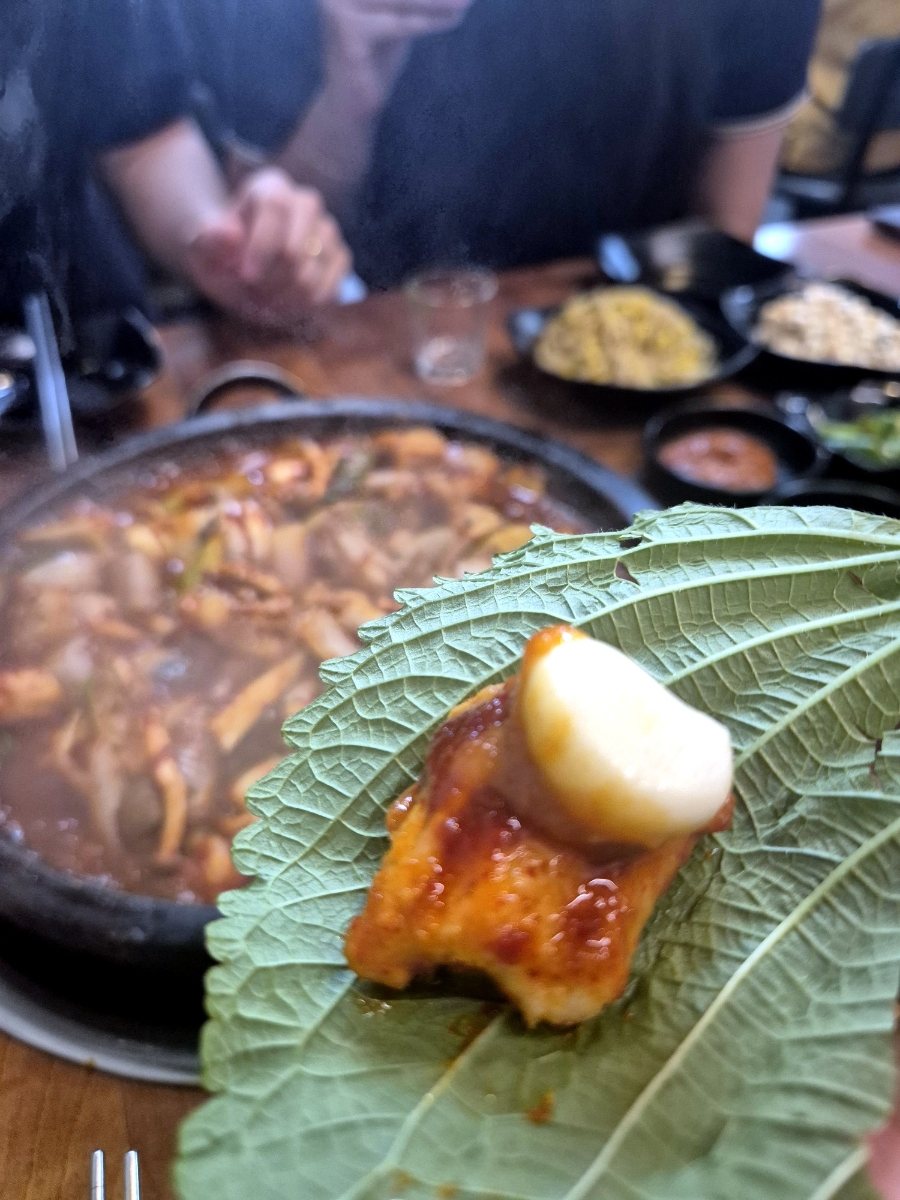 바다속친구들 사진 6