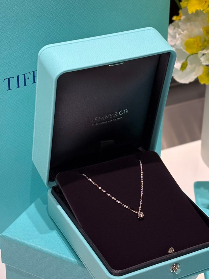 티파니앤코 솔리테어 목걸이 | 티파니앤코 솔리테어 0.18ct | 데일리 다이아 목걸이 추천