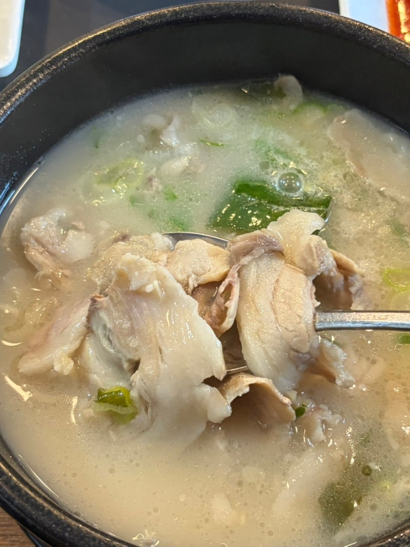 [] 부산 해운대 돼지국밥 소면 말아먹으면 더 맛있는 맛집 오복 돼지국밥 | 후기