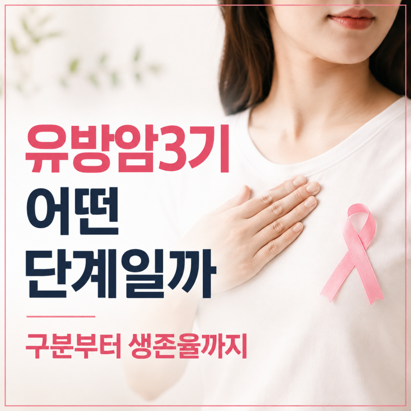유방암3기 어떤 단계일까, 구분부터 생존율까지