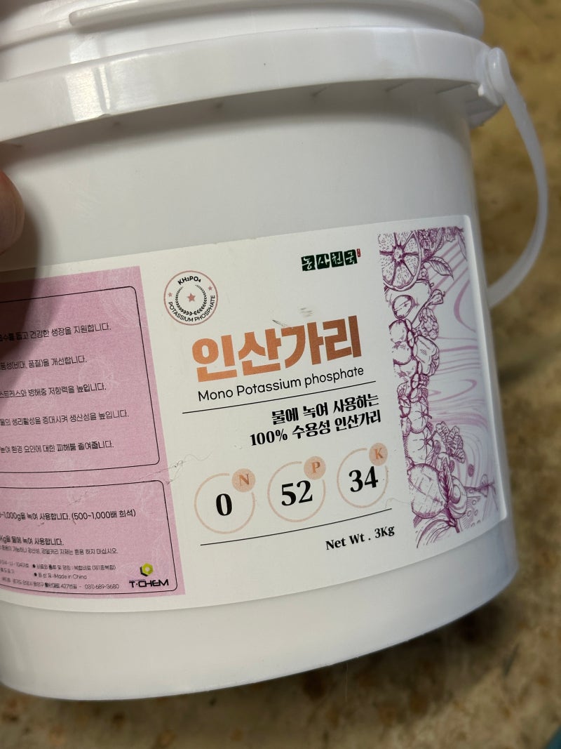 충전식 농약 분무기로 감나무 인산가리 엽면시비하기 (feat. 엽면시비 꿀팁 & 8월 병충해 관리)