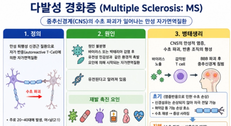 [성인간호학] 22. 다발성 경화증(Multiple Sclerosis, MS)