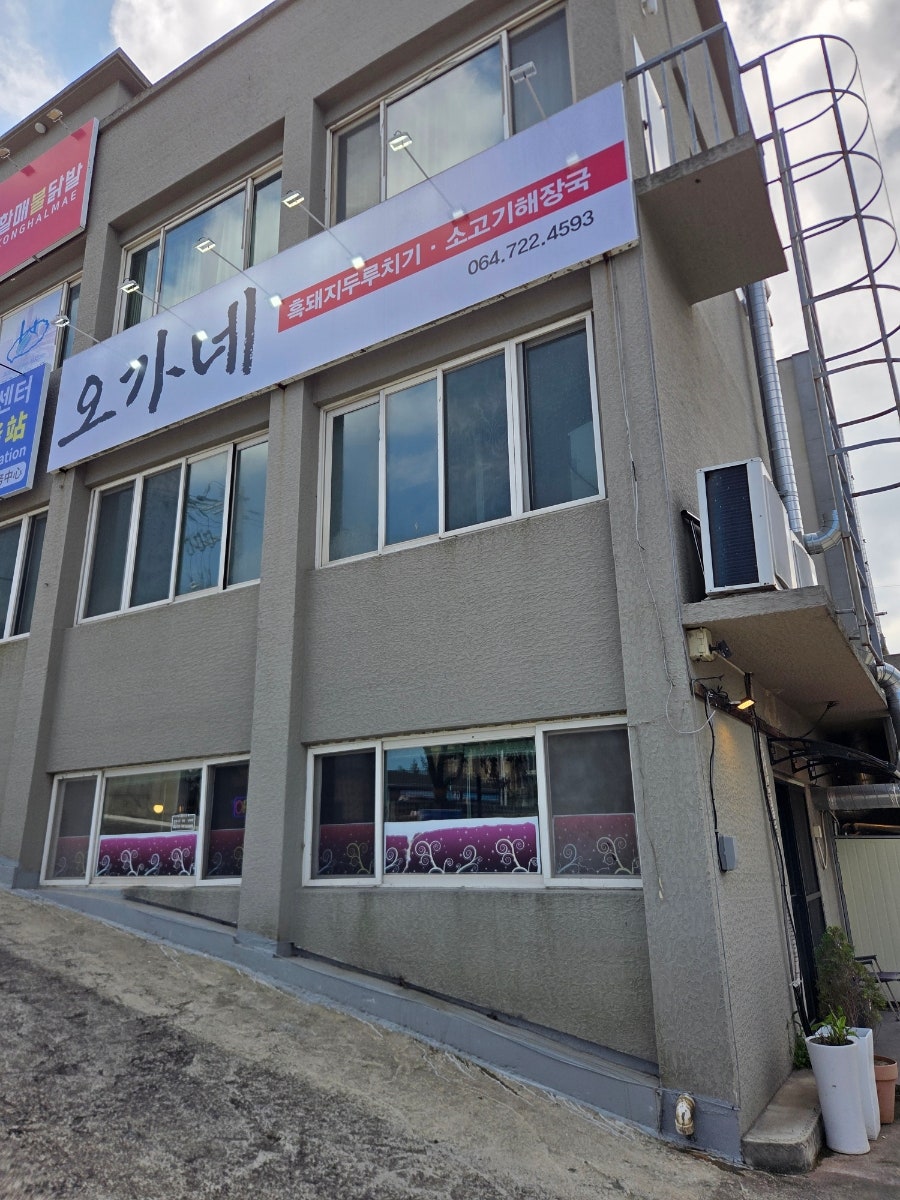 오가네 사진 2
