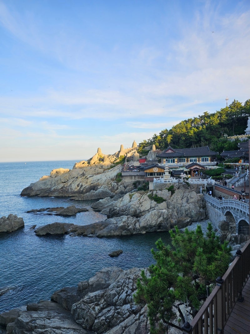 부산 가볼 만한 곳 해동용궁사｜부모님과 아이들과 다녀온 부산 가족여행