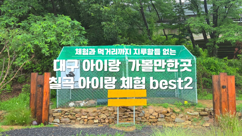대구 근교 칠곡 아이랑 가볼만한곳 BEST 2: 덕산수목원 사계절 체험장 vs 0311 칠곡 완벽 비교 (....