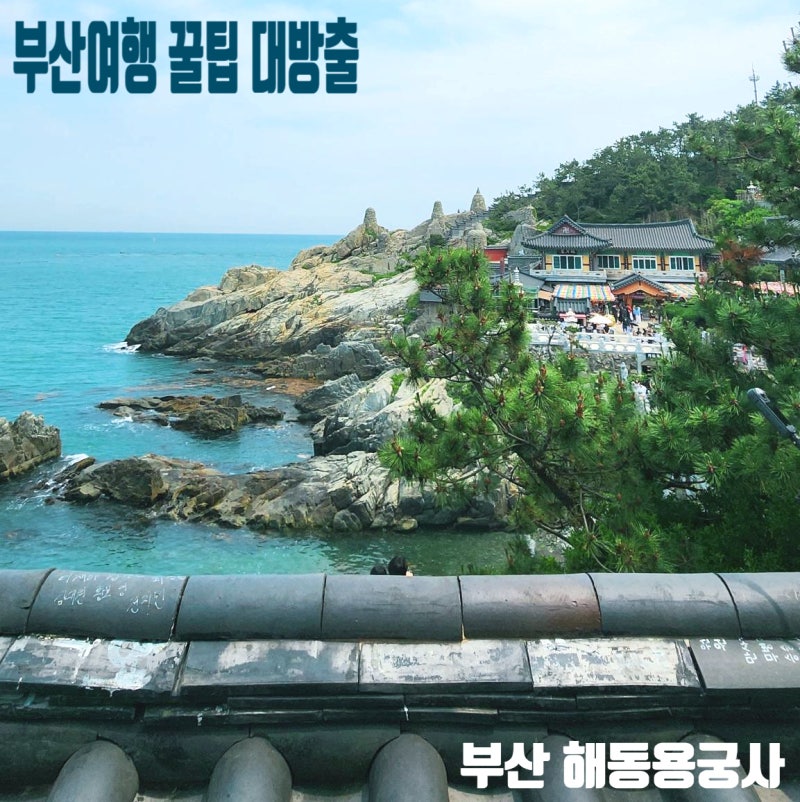 부산 해동용궁사 바다 사찰 가족 여행 코스 꿀팁