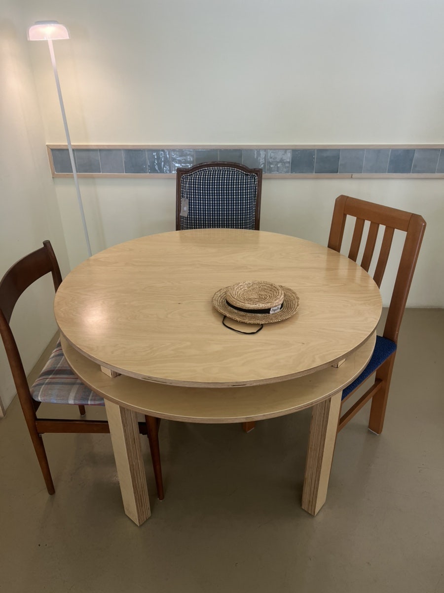 해파리 사진 4