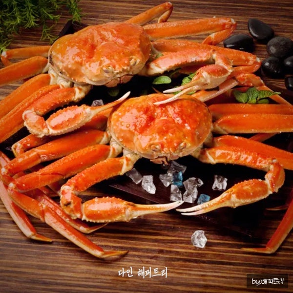대게 홍게 제철 시세 금어 기간 효능 찌는 법