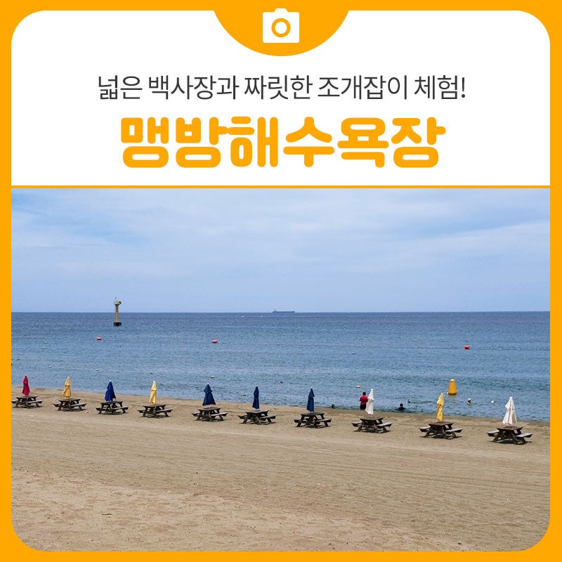 넓은 백사장과 짜릿한 조개잡이 체험! 가족과 함께한 맹방해수욕장 | 삼척 가볼만한곳