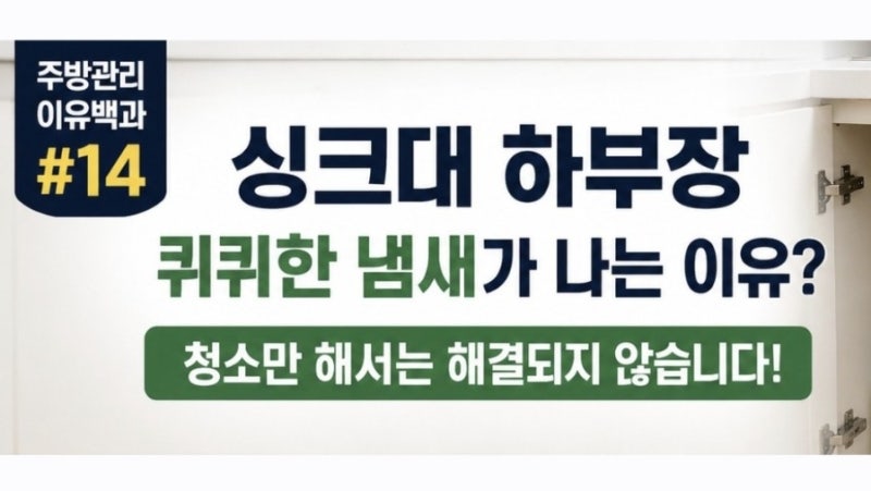 싱크대 하부장에서 퀴퀴한 냄새가 나는 이유? 청소만 해서는 해결되지 않습니다! | 주방관리 ....