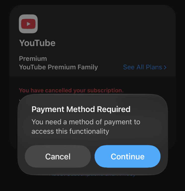 [광고X, 내돈구독]"Payment Method Required" 유튜브 프리미엄 <b>인도</b> 이민 갱....